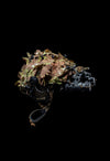 IRREGULAR OAKLEAF HELMET SCRIM