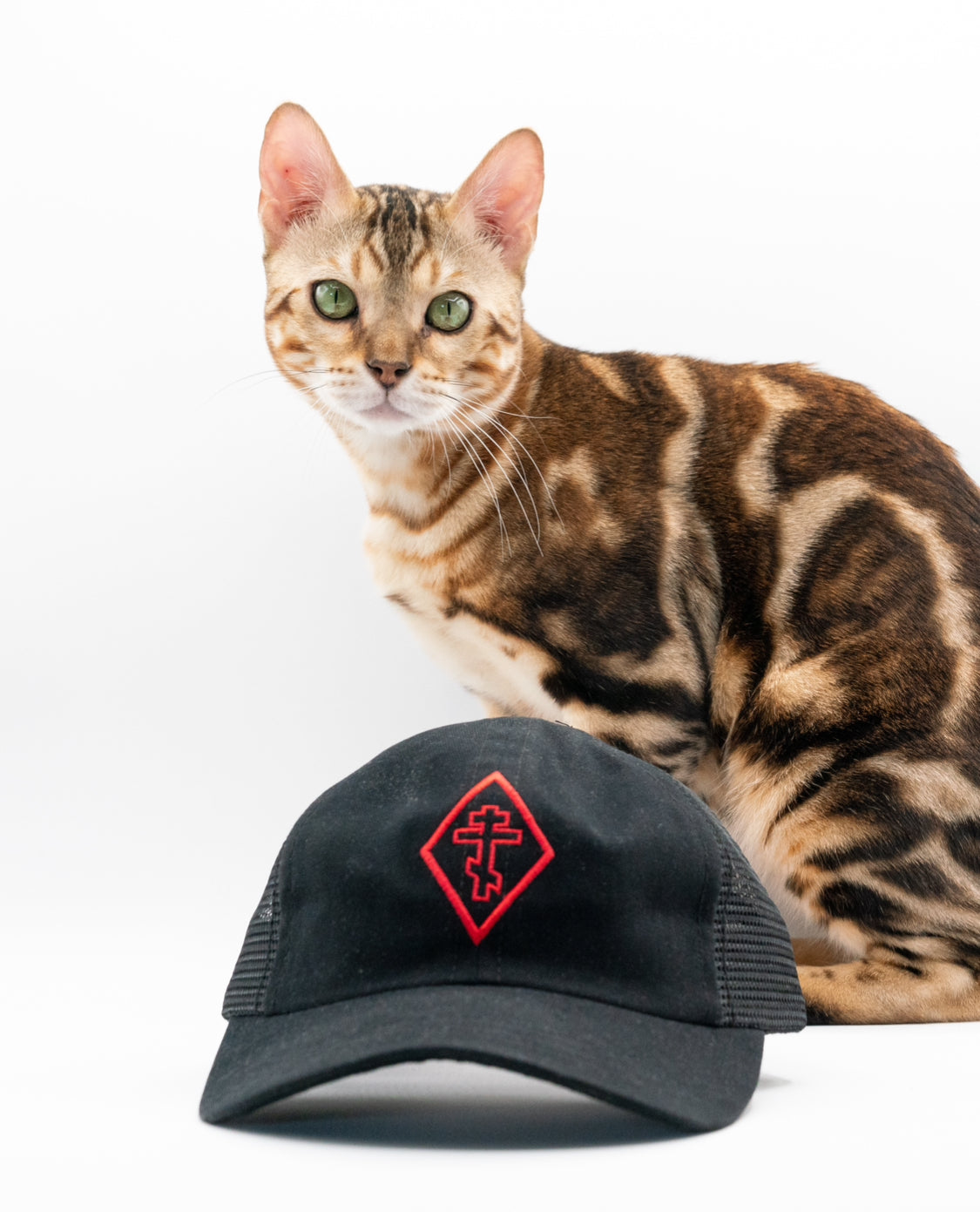 ON THE MARK mesh back dad hat