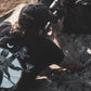 SCI CORE V1 Dad Hat