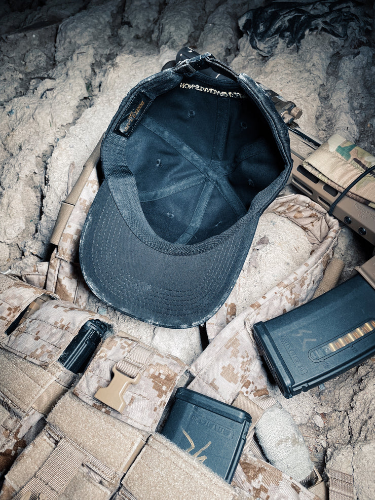 SCI CORE V2 Dad Hat